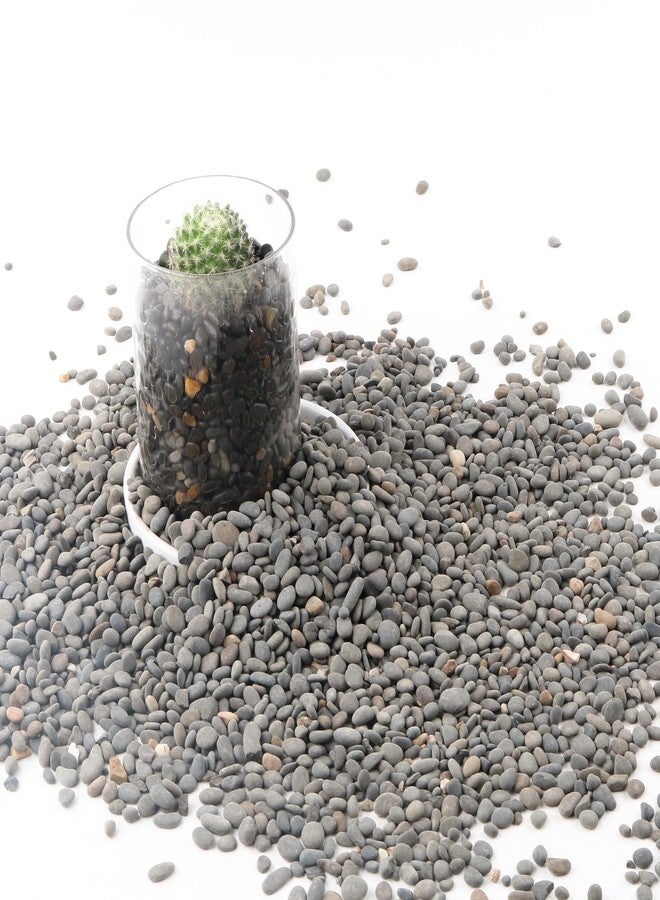 CJGQ Decorative River Rocks Pebbles for Succulents, Cacti & Gardens, Aquarium Gravel, Fish Tank Rocks, 2.4 lb - Image 1